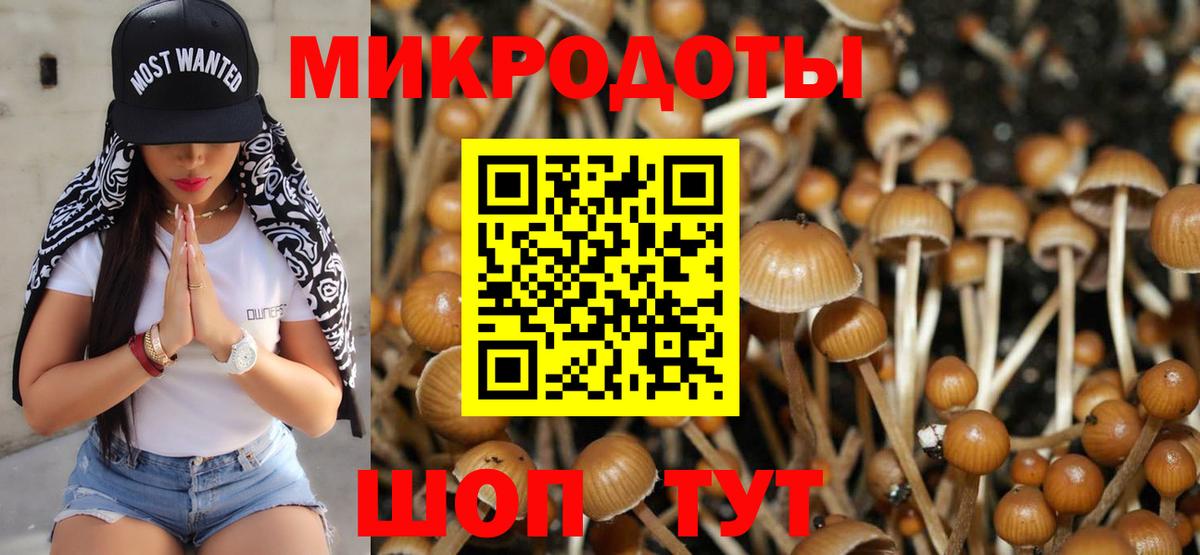 продажа наркотиков  Псилоцибиновые грибы мухоморы  Вход с VPN  Лысьва 